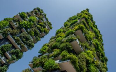 Gondominio green? Si grazie.